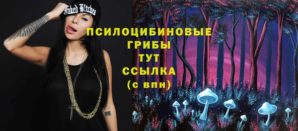 синтетический гашиш Новодвинск