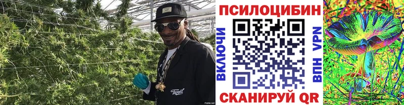 Галлюциногенные грибы Magic Shrooms  Мышкин 
